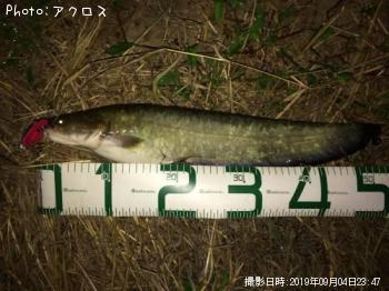 �ޥʥޥ�