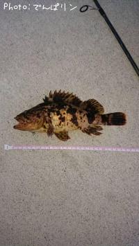 �٥å�������