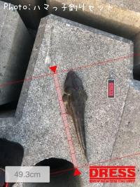 �ޥ���