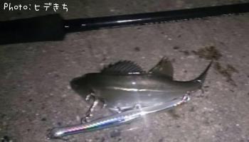 �����Х�