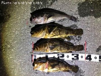 ¥¿¥±¥Î¥³¥á¥Ð¥ë