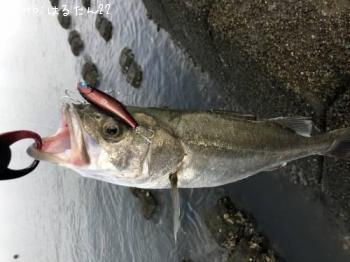 �����Х�