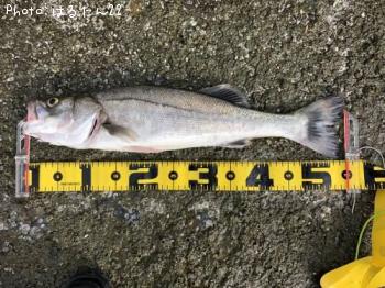 �����Х�