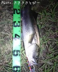 �����Х�