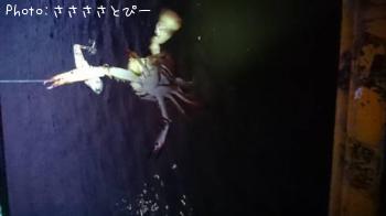 �����Х�