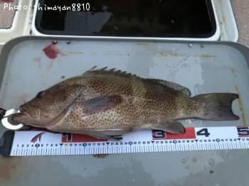 ¥ª¥ª¥â¥ó¥Ï¥¿