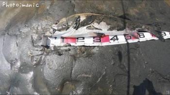 �����Х�