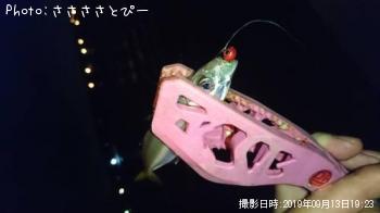 ¥á¥Ð¥ë¡õ¥à¥é¥½¥¤¡õ¥¢¥¸