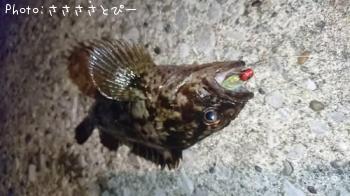 ¥á¥Ð¥ë¡õ¥à¥é¥½¥¤¡õ¥¢¥¸