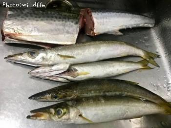 ���ޥ���������