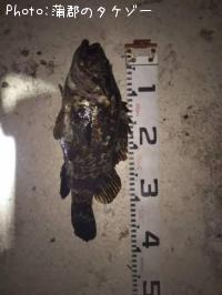 �����Υ���Х�