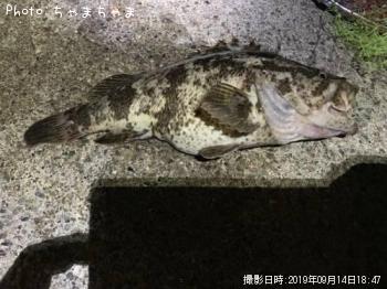 ¥¿¥±¥Î¥³¥á¥Ð¥ë