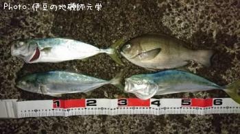 ¸ýÂÀ¥á¥¸¥Ê