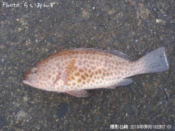 �������ϥ�