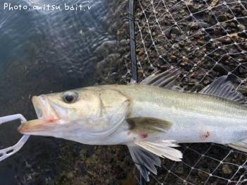 �����Х�