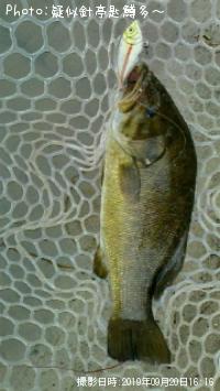 ���⡼��ޥ���