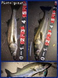 �����Х�