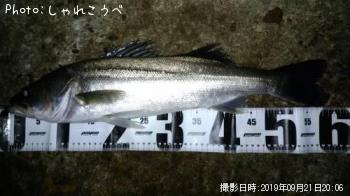 �����Х�