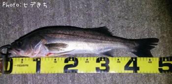 �����Х�