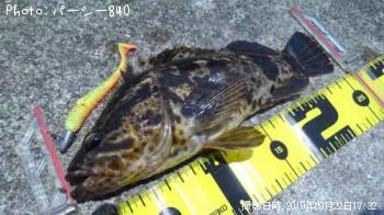 ¥¿¥±¥Î¥³¥á¥Ð¥ë