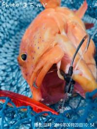 ��������ڥ��������