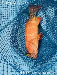 ��������ڥ��������