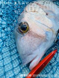 ���륤�桼�ڥ���������