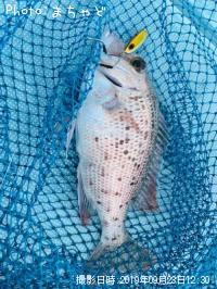 ���륤�桼�ڥ���������