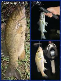 ¥¹¥â¡¼¥ë¥Þ¥¦¥¹¥Ð¥¹