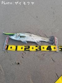 �����Х�