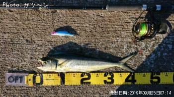 ������ʥڥ�ڥ��