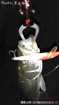 �����Х�