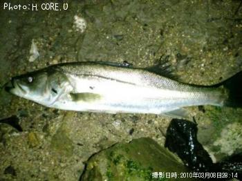 �����Х�