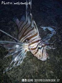 �ߥΥ�����