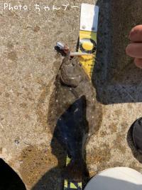 �ҥ��ʥ�����