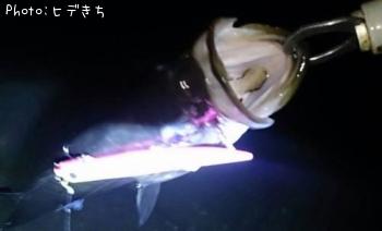 �����Х�