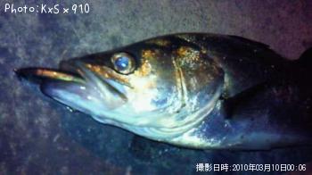 �����Х�