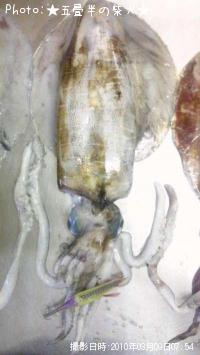 �����ꥤ��