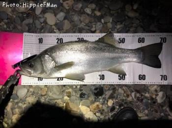 �ҥ饹����