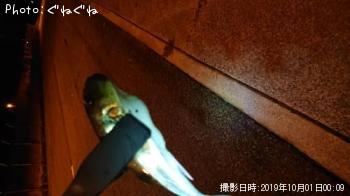 �������Х�