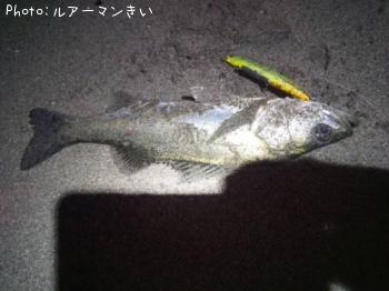 �����Х�