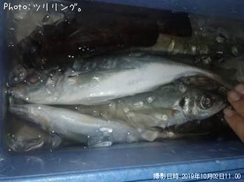 ��������Х�