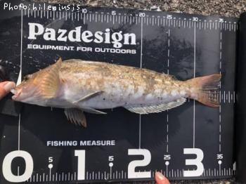 �����ʥ�