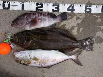 �ҥ����ޥϥ�