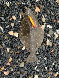 �ҥ��ʥ�����