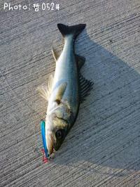 �����Х�