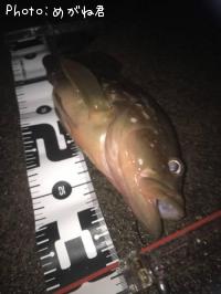 �����ϥ�