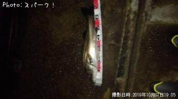 �����Х�