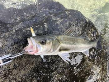 �����Х�