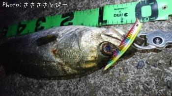 �����Х�